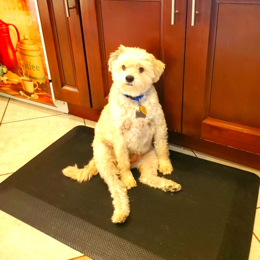 Closet Blow Out!! 5.00 items